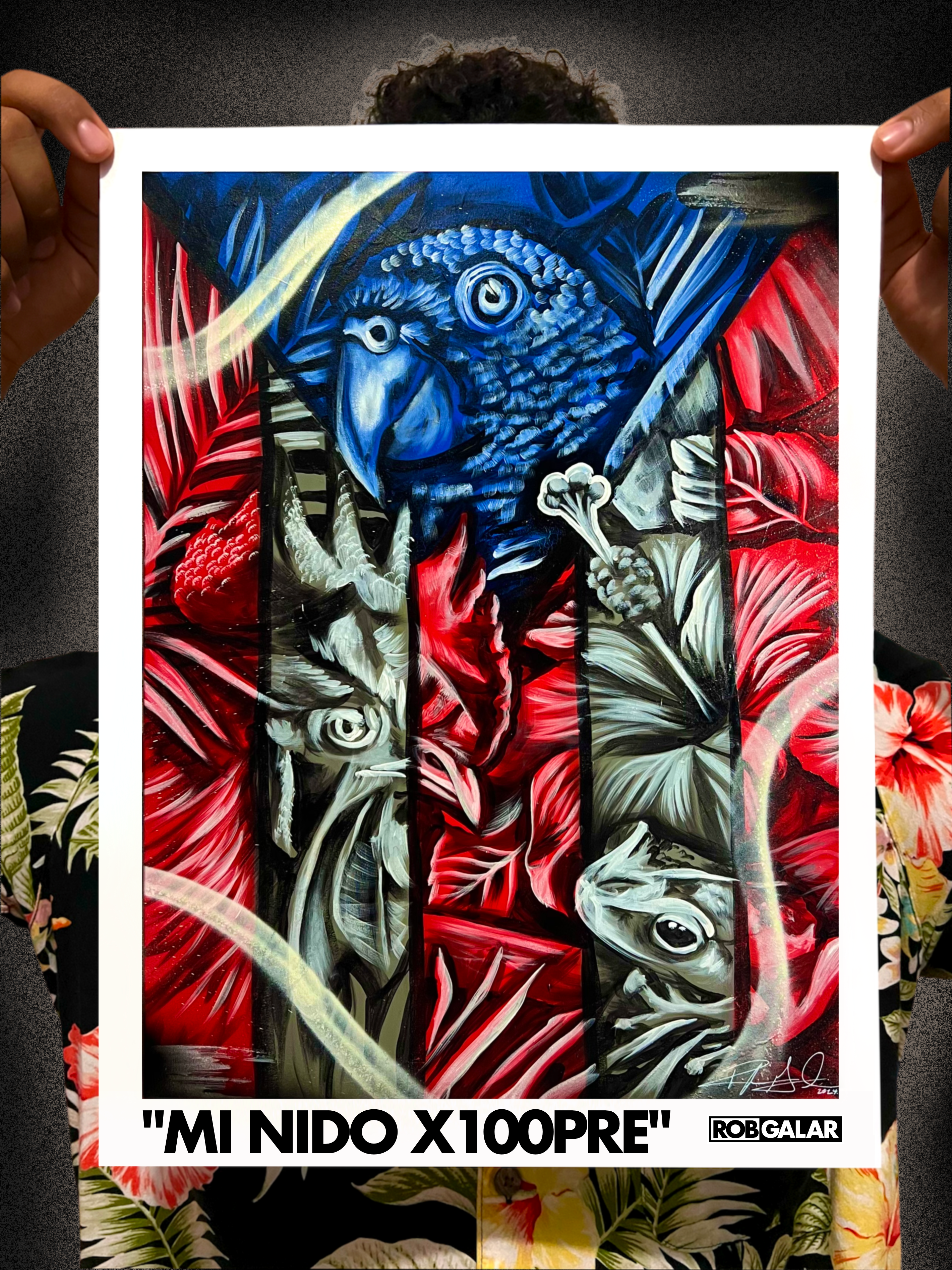 MÍ NIDO X100PRE (ART PRINT)